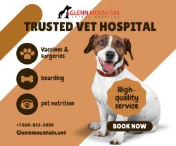 Our Animal Hospital Abbotsford offers the best services In Abbotsford