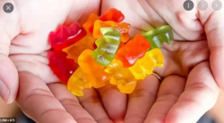 Everything You Need To Know About Biolife CBD Gummies.