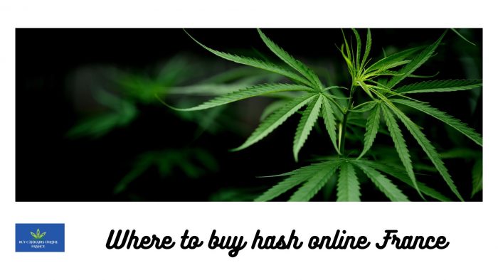 Where to buy hash online France ?