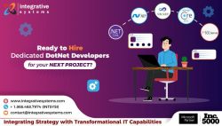 Hire Dedicated .NET Developers for your Enterprise-grade Applications