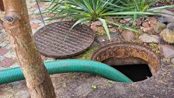 How Do You Drain A Septic Tank?