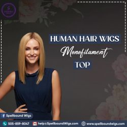 Human Hair Wigs Monofilament Top