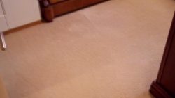 Recommended Carpet Cleaning Company