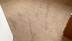 Hiring Carpet Cleaners Can Be Beneficial In Multiple Ways