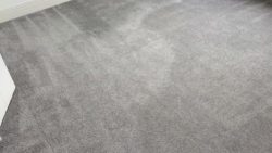 Debunking Common Carpet Cleaning Myths