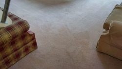 Protecting Your Carpet From Getting Damaged
