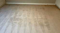 Why Carpet Stains Keep Coming Back