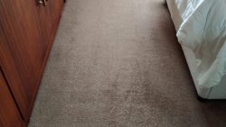 Carpet Cleaning Services For Vacation Homes
