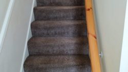 Carpet Cleaning Is Essential For A Healthy Home