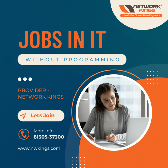 Best Jobs in IT Without Programming skills