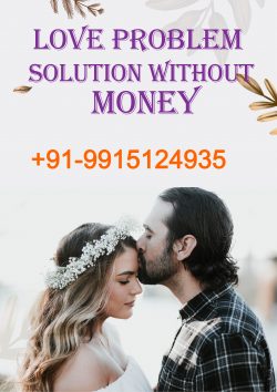 Love Problem Solution Without Money – Online Free Love Back Solution