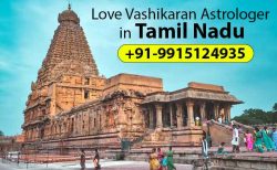 Love Vashikaran Astrologer In Tamil Nadu