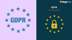 What is the Purpose of Magento 2 GDPR Extension?