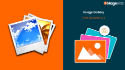 What is Image Gallery and how to use it in Magento 2?