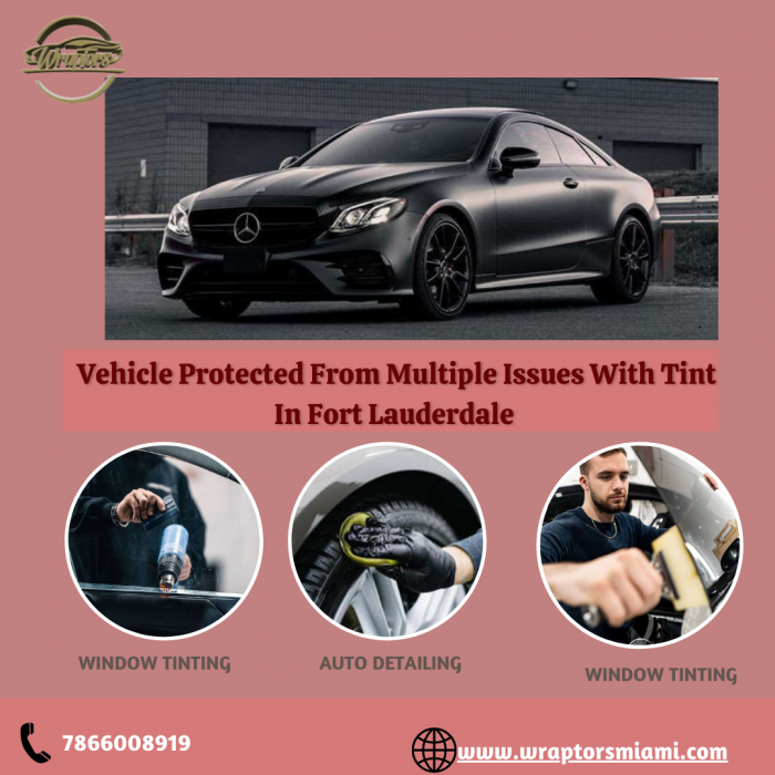 Make Your Vehicle Protected From Multiple Issues With Tint In Fort Lauderdale