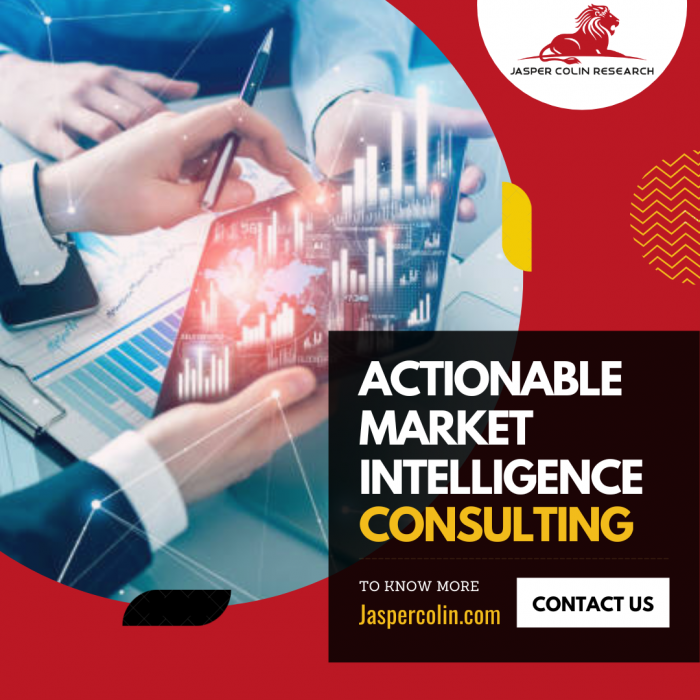 Actionable Market Intelligence Consulting