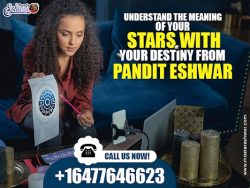 Understand Meaning Of Your Stars With Astrologer In Etobicoke