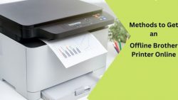 Methods to Get an Offline Brother Printer Online