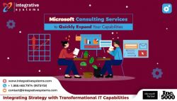 How Can Hiring Microsoft Consulting Services Prove Advantageous for Your Business?