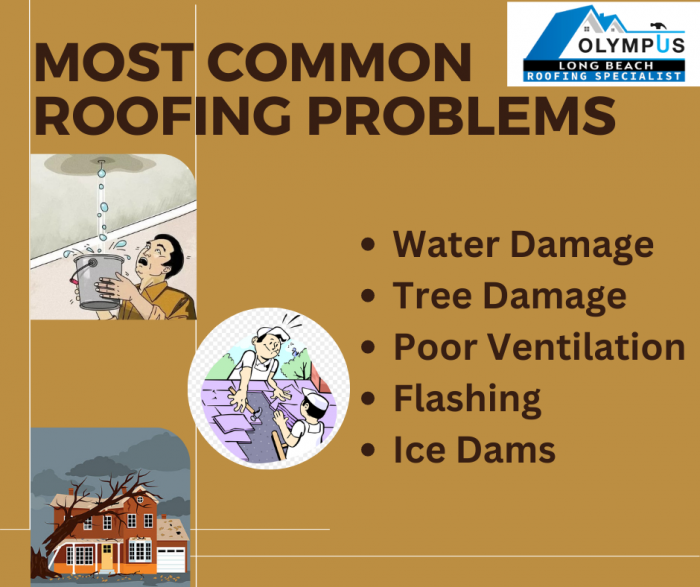 Some Roofing Issues That Can Impact Your Roof