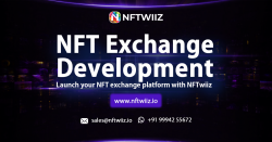 NFT Exchange Platform Development | NFTWIIZ