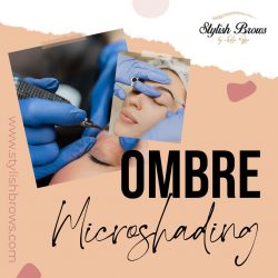 Ombre Microshading at Stylish Brows