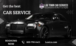 Professional Private Car Services