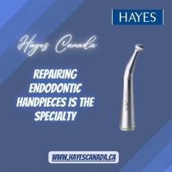Repairing endodontic handpieces is the specialty of Hayes Canada
