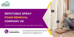 Contact Us for Tasks Related To Spray Foam Removal