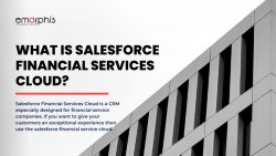 Salesforce Financial Services Cloud: A Guide