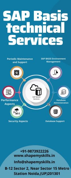 SAP Basis technical Services