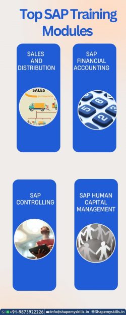 Top SAP Training Modules