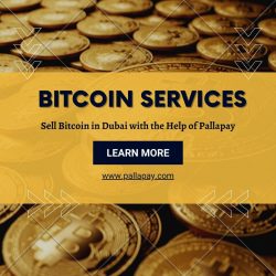 Sell Bitcoin in Dubai with the Help of Pallapay