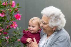 Trustworthy Aged Care Facilities in Wagga Wagga are Here