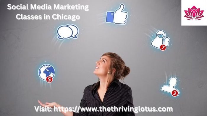 Social Media Training in Chicago