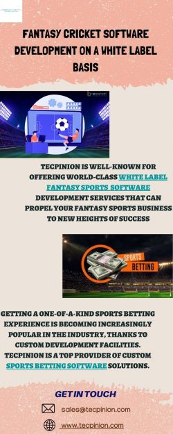 Get Complete Information On White Label Fantasy Sports Software