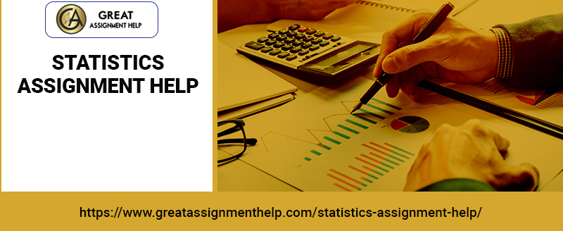Guidelines for Statistics Assignment Help
