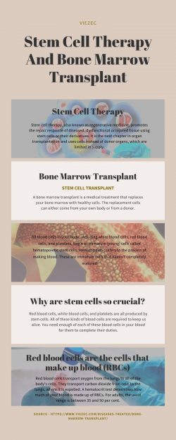 Stem Cell Therapy And Bone Marrow Transplant