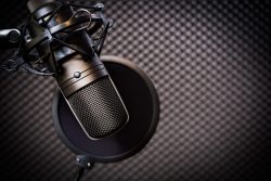 French Voice Over Services
