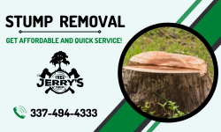 Leading Experts of Stump Removal Services