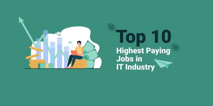 Top 10 Highest Paying Jobs in IT Industry