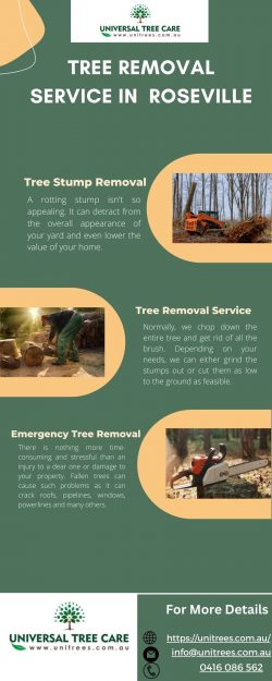 Best Tree Removal Service in Roseville