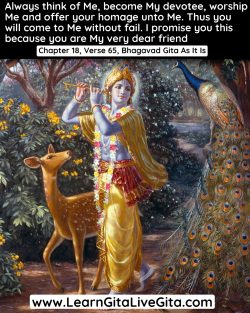 Essence Of Bhagavad Gita | Bhagavad Gita Saar | Gita Saar In English
