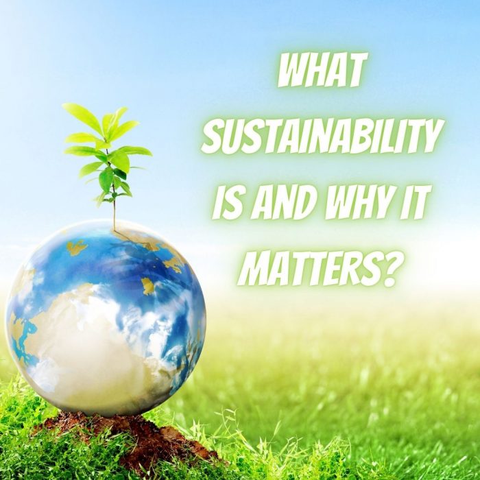What Sustainability Is and Why It Matters?