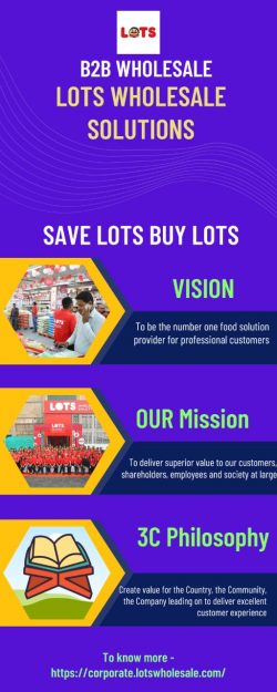 B2B Wholesale – LOTS Wholesale Solutions