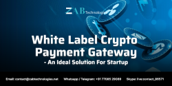Develop a White label Crypto Payment gateway Platform