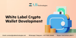 Cryptocurrency wallet development company