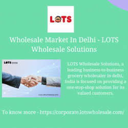 Wholesale Market In Delhi – LOTS Wholesale Solutions