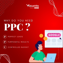 Why Do You Need PPC? – ValueHits