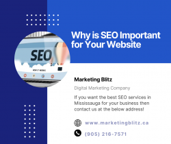 Why is SEO Important for Your Website